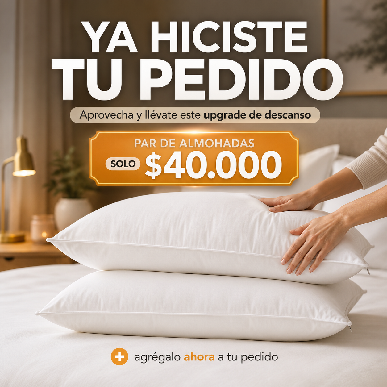 2 Almohada Promo Termosellado