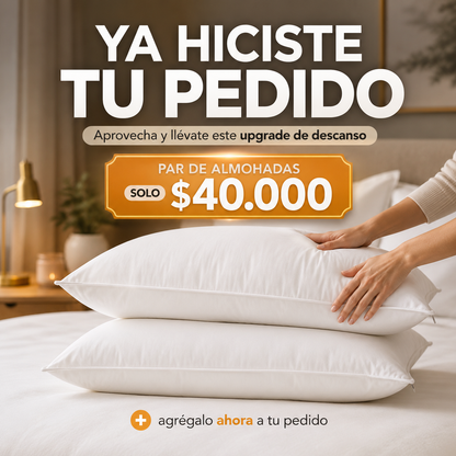 2 Almohada Promo Termosellado